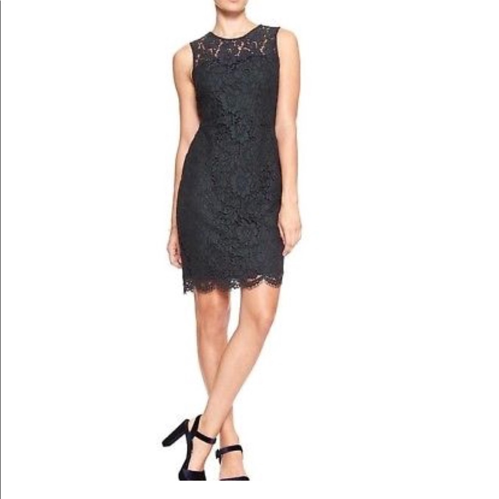 Banana Republic Women's Two Tone Lace dress